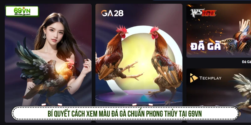 Cách xem màu đá gà