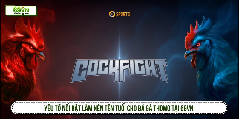 Yếu tố nổi bật làm nên tên tuổi cho đá gà Thomo tại 69VN