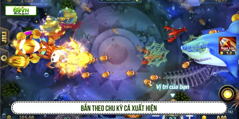 Săn Hũ Bắn Cá Xèng Nhanh Cùng Cơ Hội Trúng Tiền Triệu Bắn theo chu kỳ cá xuất hiện