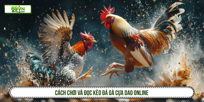 Cách chơi và đọc kèo đá gà cựa dao online