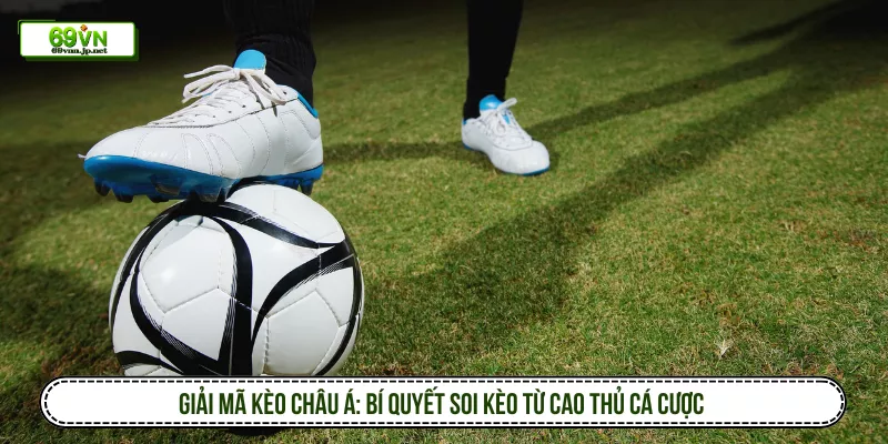 Giải Mã Kèo Châu Á: Bí Quyết Soi Kèo Từ Cao Thủ Cá Cược