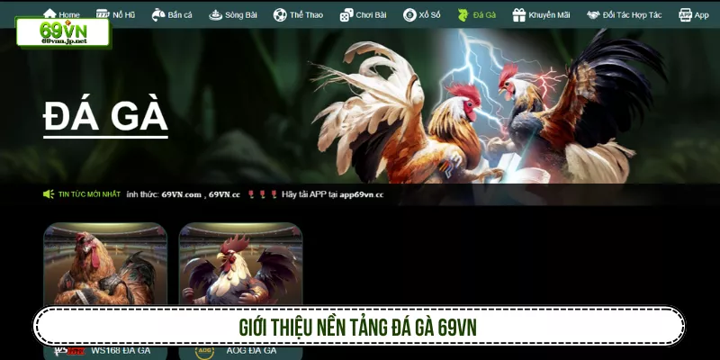 Giới thiệu nền tảng đá gà 69VN