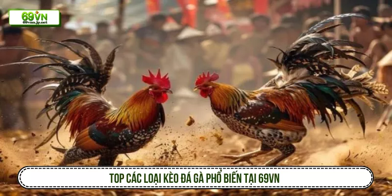 Top các loại kèo đá gà phổ biến tại 69VN